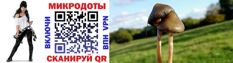 мега tor  маркетплейс какой сайт  Галлюциногенные грибы ЛСД  Светлоград 