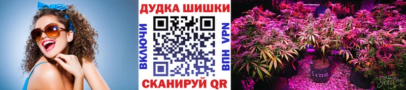 купить наркоту  Светлоград  Шишки марихуана семена 